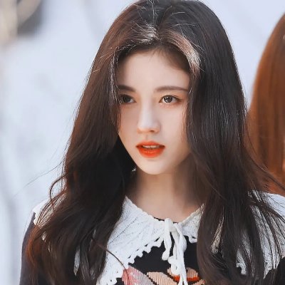 完美伴侣2025