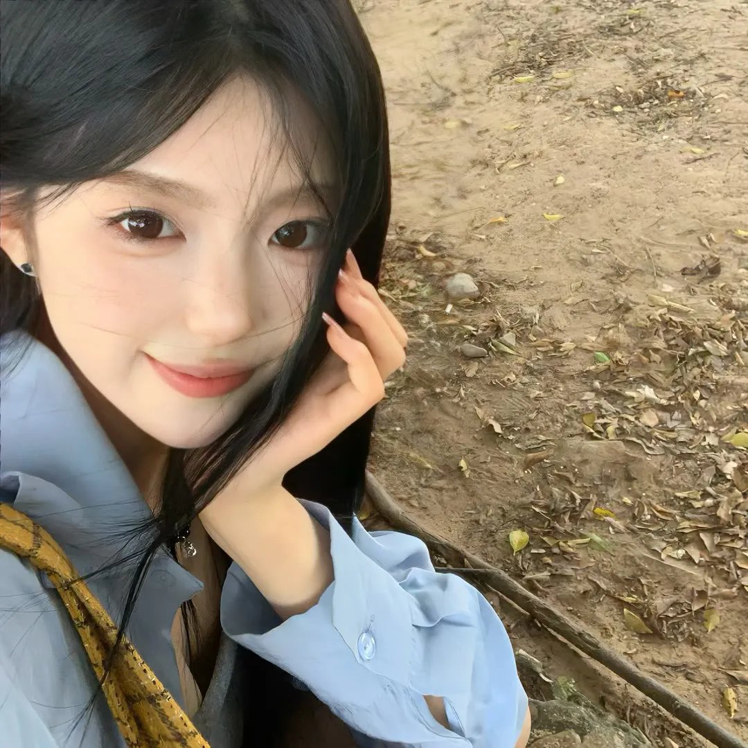 托托的色彩美学观