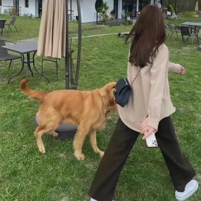 上帝的召唤